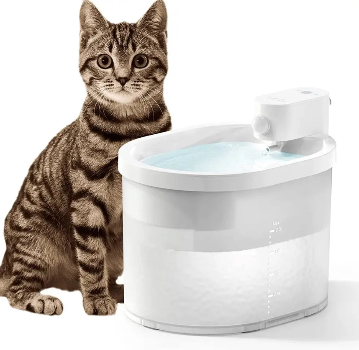 Kabelloser Frischwasser Katzenbrunnen | Kabelloser Trinkbrunnen für Katzen mit Bewegungssensor | 2 Liter Fassungsvermögen für Gesundheit und Frische