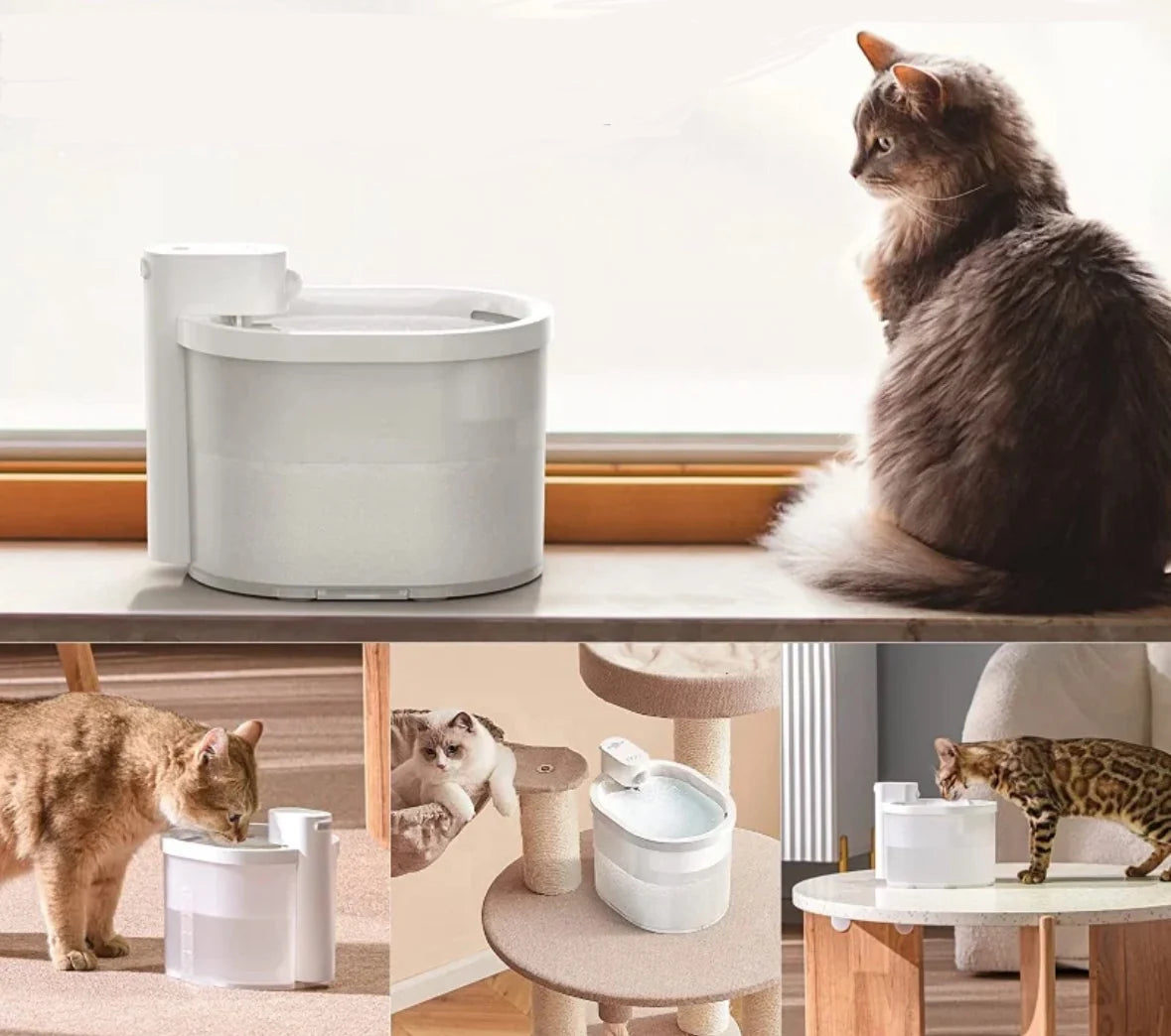 Kabelloser Frischwasser Katzenbrunnen | Kabelloser Trinkbrunnen für Katzen mit Bewegungssensor | 2 Liter Fassungsvermögen für Gesundheit und Frische
