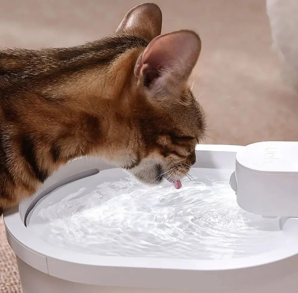Kabelloser Frischwasser Katzenbrunnen | Kabelloser Trinkbrunnen für Katzen mit Bewegungssensor | 2 Liter Fassungsvermögen für Gesundheit und Frische